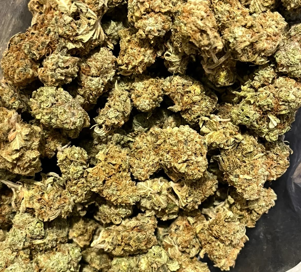 ✨️🐉関東𝐦𝐞𝐧𝐮表🐉✨️